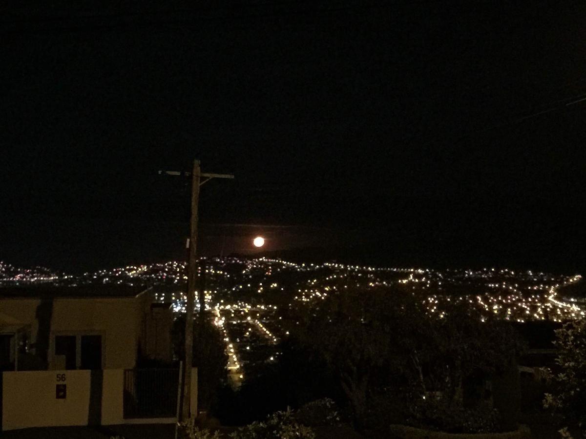 Wow @ Saint Clair Panzió Dunedin Kültér fotó